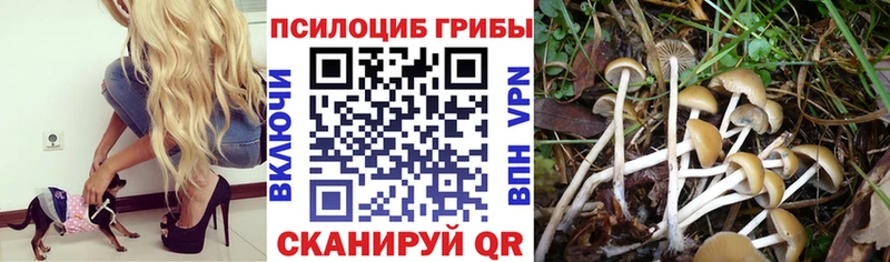 Псилоцибиновые грибы мухоморы  Чернушка 