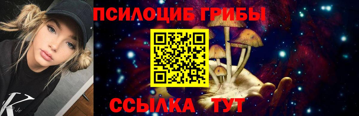 Чернушка  Псилоцибиновые грибы мицелий  Вход с VPN 